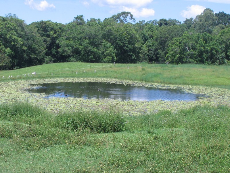 Mooloolah Valley QLD 4553