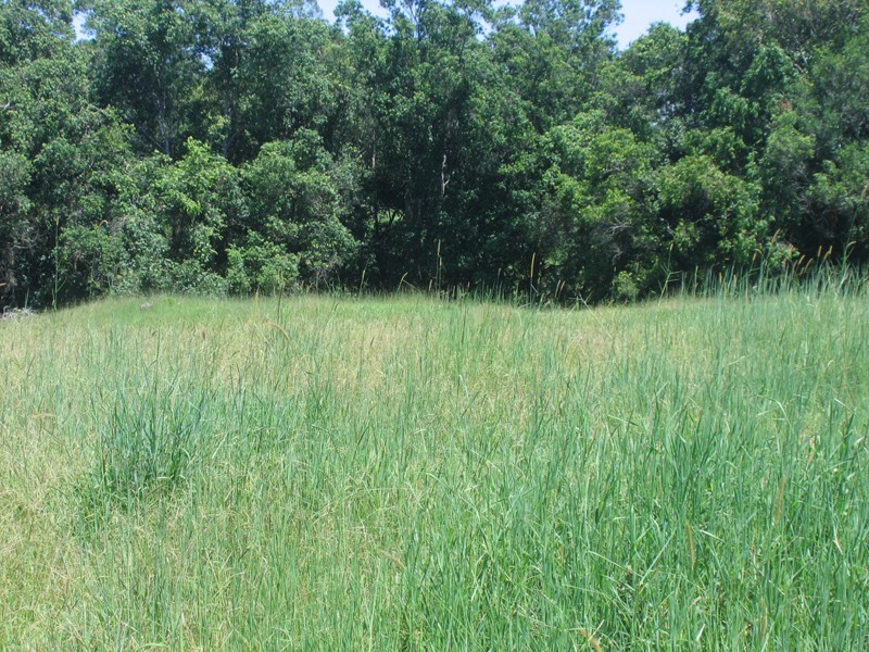 Mooloolah Valley QLD 4553