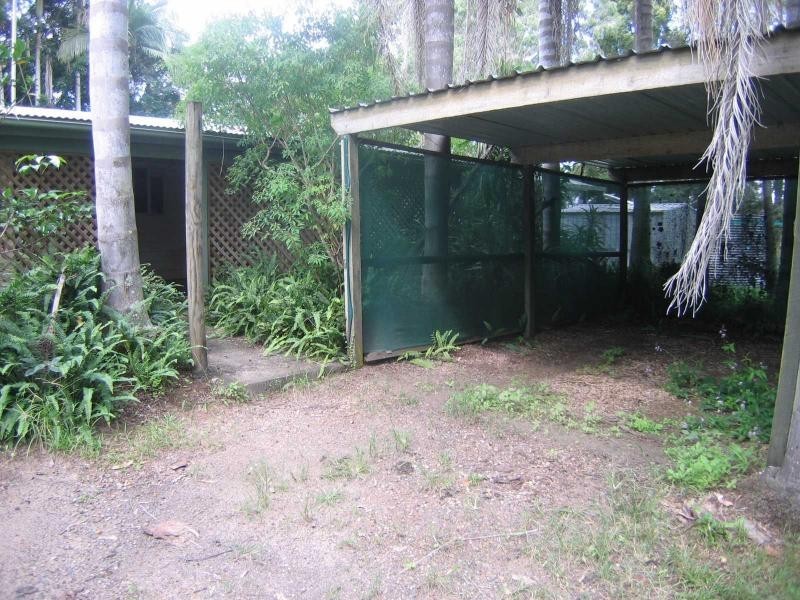 17 Evans Grove Road, Glenview QLD 4553