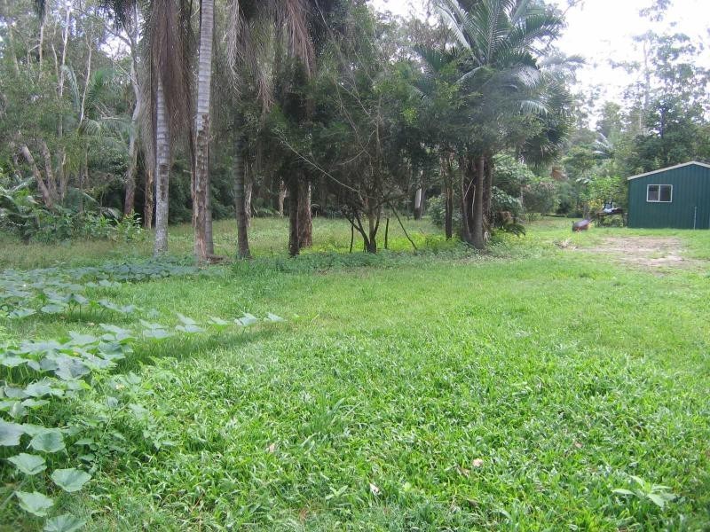 17 Evans Grove Road, Glenview QLD 4553