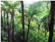 128 Ratcliffe Road, Mooloolah Valley QLD 4553