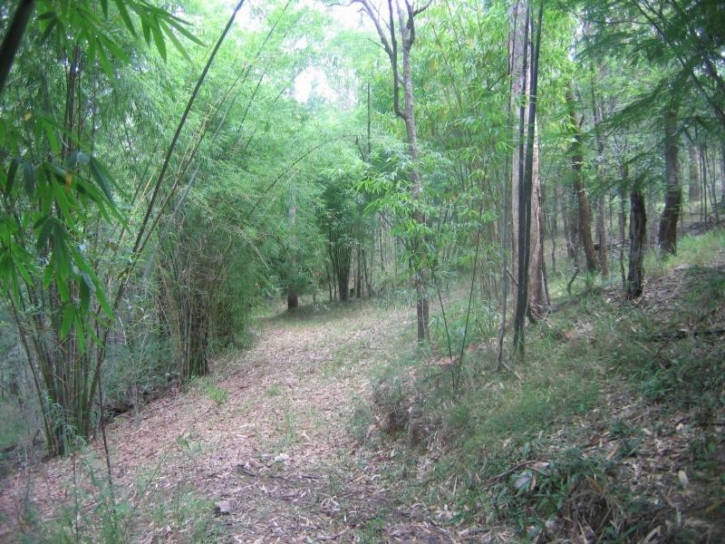 Eudlo QLD 4554