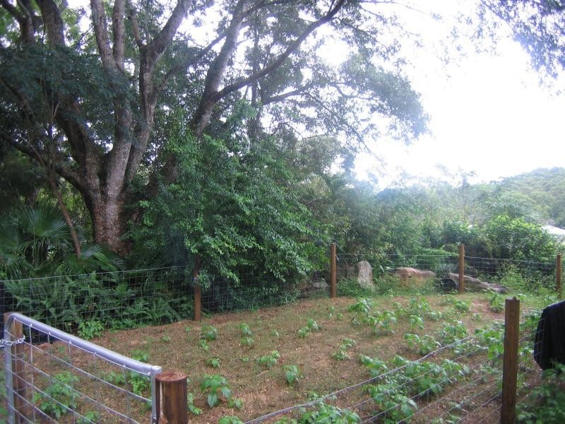 Mooloolah Valley QLD 4553