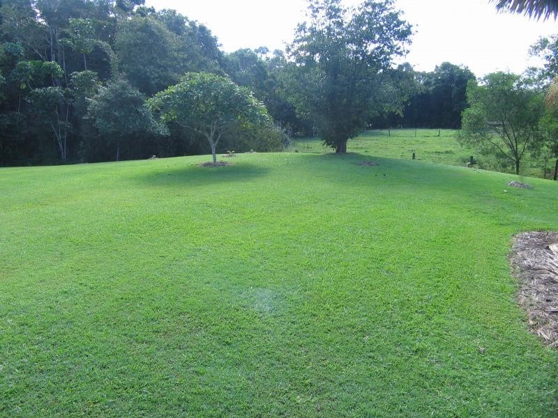 Mooloolah Valley QLD 4553