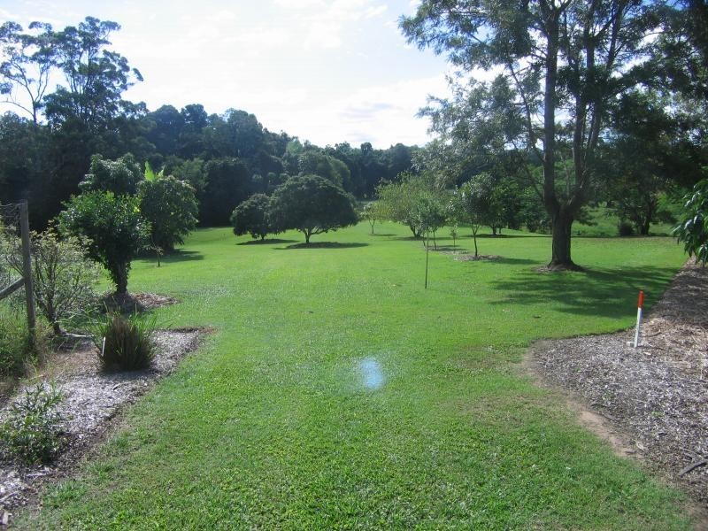 Mooloolah Valley QLD 4553