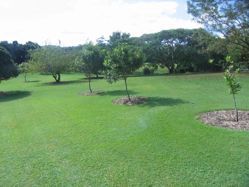 Mooloolah Valley QLD 4553