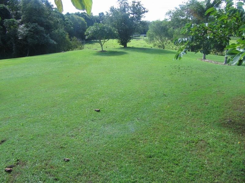 Mooloolah Valley QLD 4553