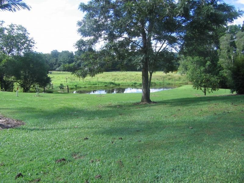 Mooloolah Valley QLD 4553