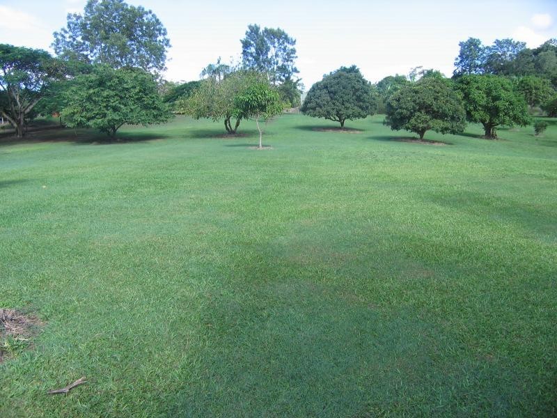 Mooloolah Valley QLD 4553