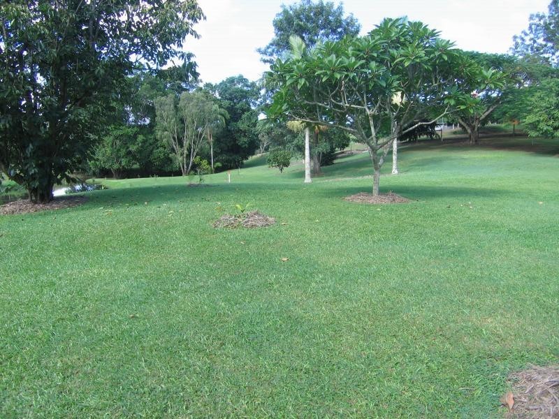 Mooloolah Valley QLD 4553