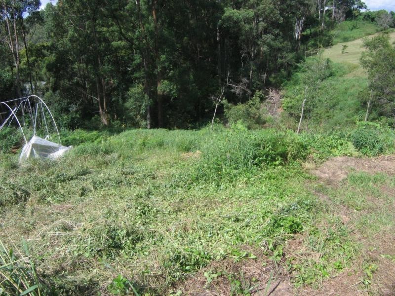 Eudlo QLD 4554