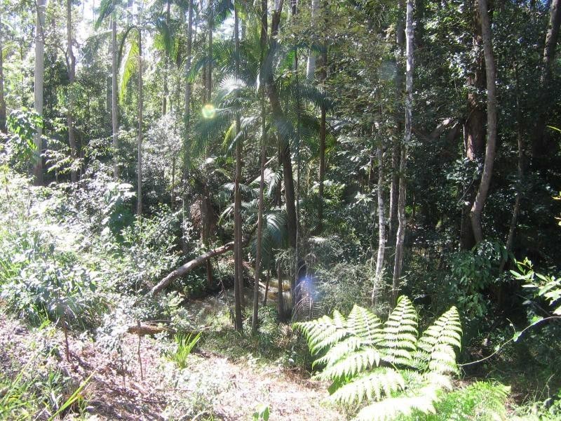 Mooloolah Valley QLD 4553