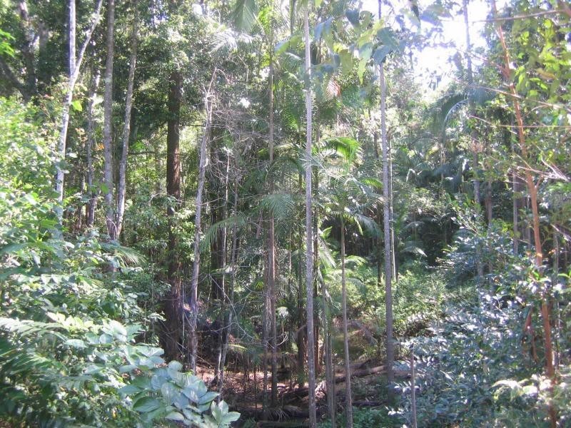 Mooloolah Valley QLD 4553