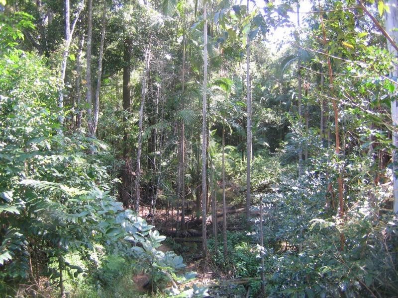 Mooloolah Valley QLD 4553