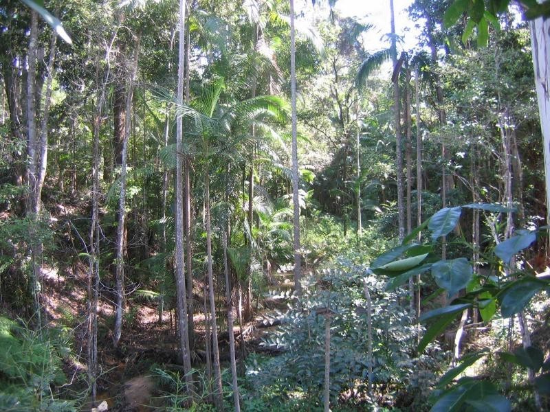 Mooloolah Valley QLD 4553