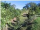 Mooloolah Valley QLD 4553
