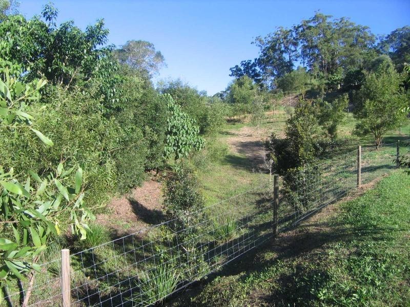 Mooloolah Valley QLD 4553