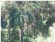 Mooloolah Valley QLD 4553