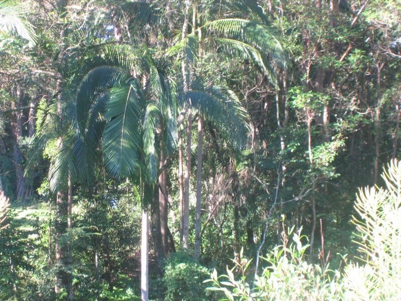 Mooloolah Valley QLD 4553