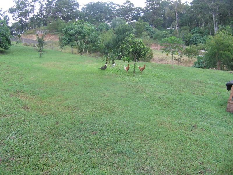 Mooloolah Valley QLD 4553