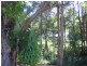 Mooloolah Valley QLD 4553