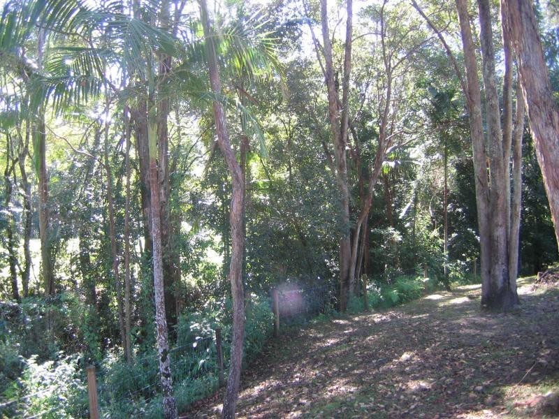 Mooloolah Valley QLD 4553