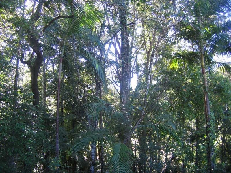 Mooloolah Valley QLD 4553