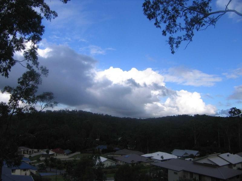 Mooloolah Valley QLD 4553