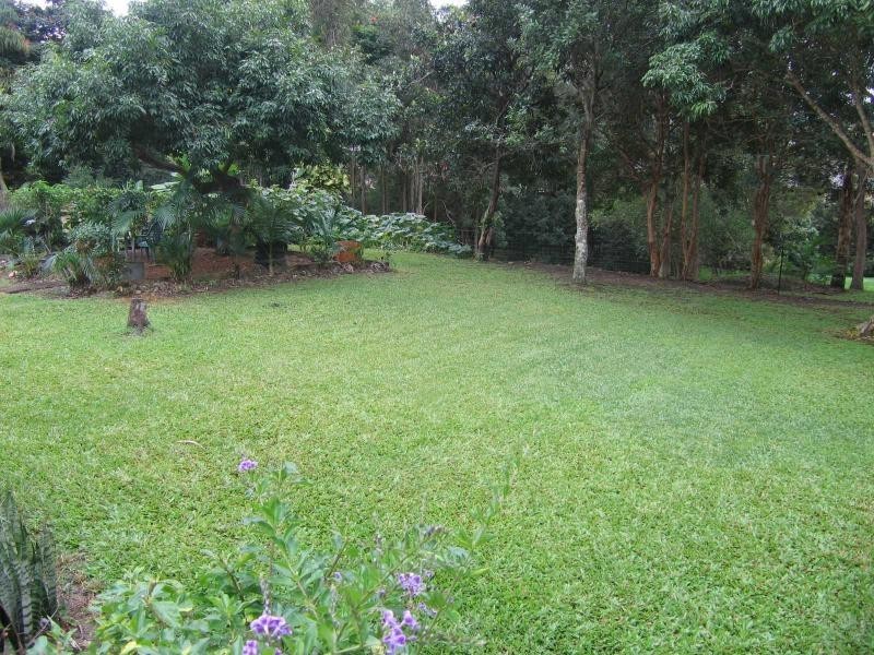 Mooloolah Valley QLD 4553