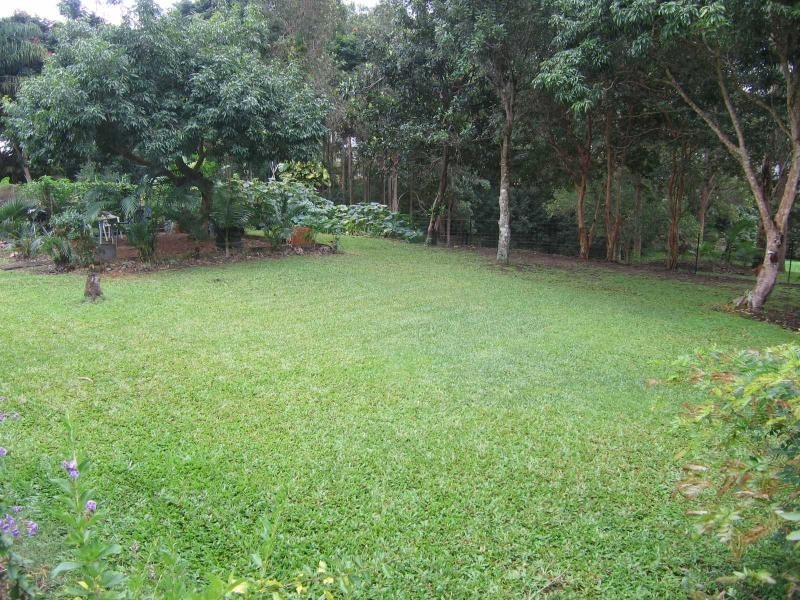 Mooloolah Valley QLD 4553