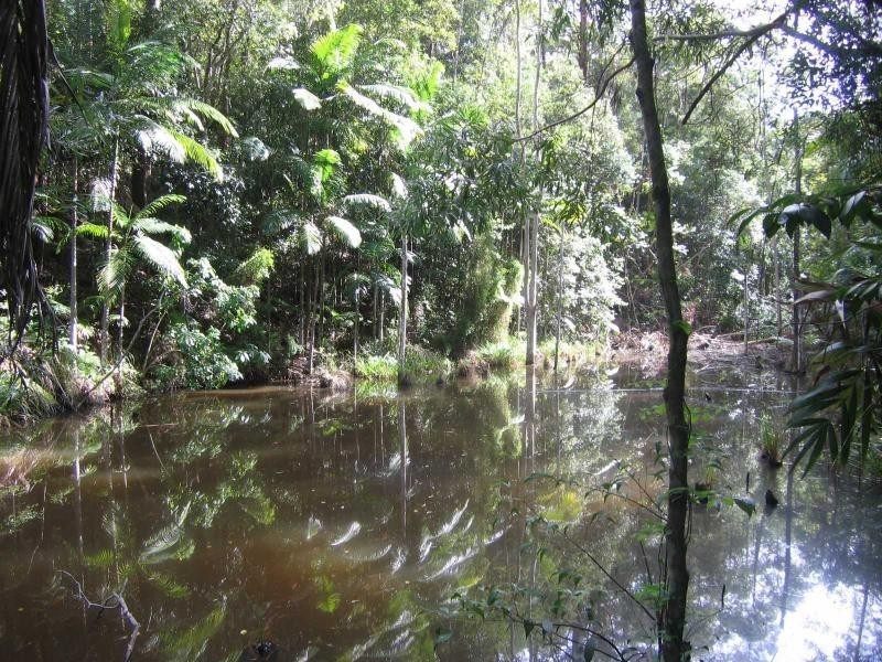 Eudlo QLD 4554