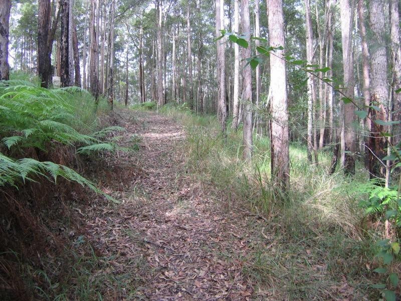 Eudlo QLD 4554