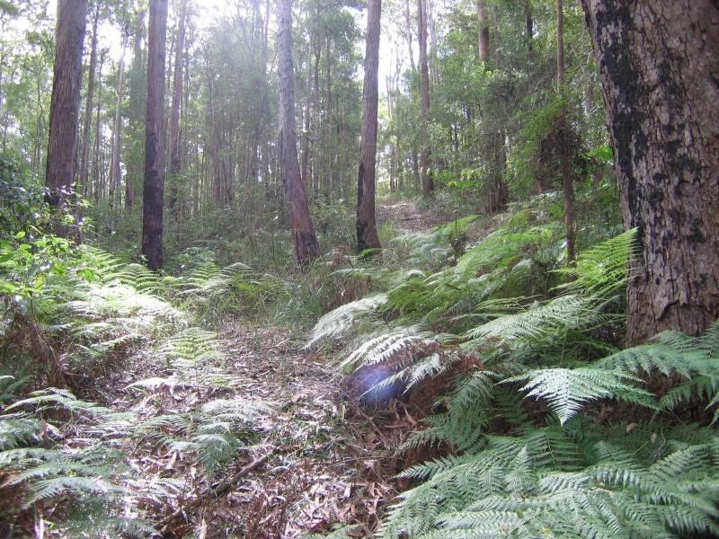 Eudlo QLD 4554