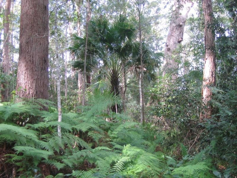 Eudlo QLD 4554
