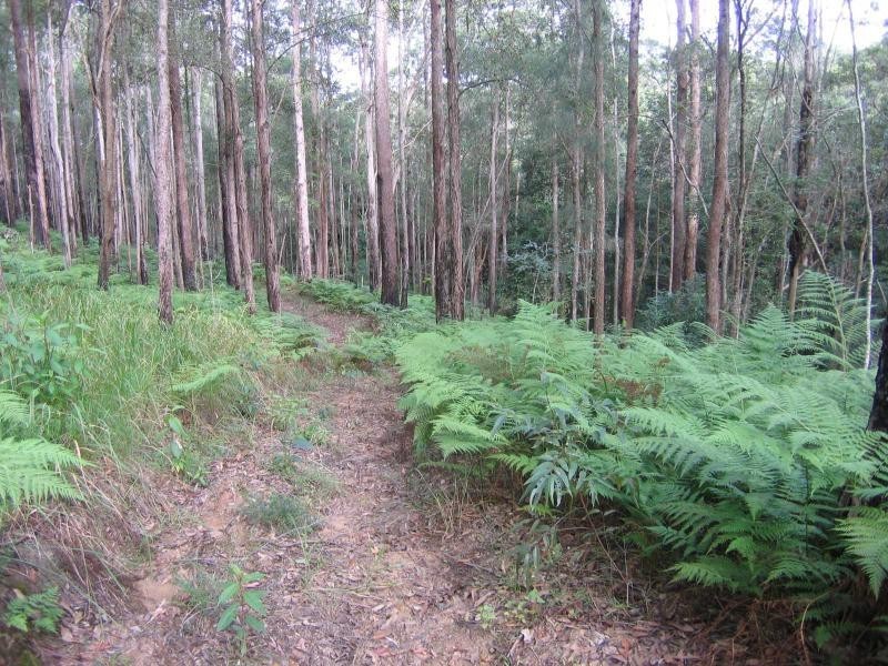 Eudlo QLD 4554