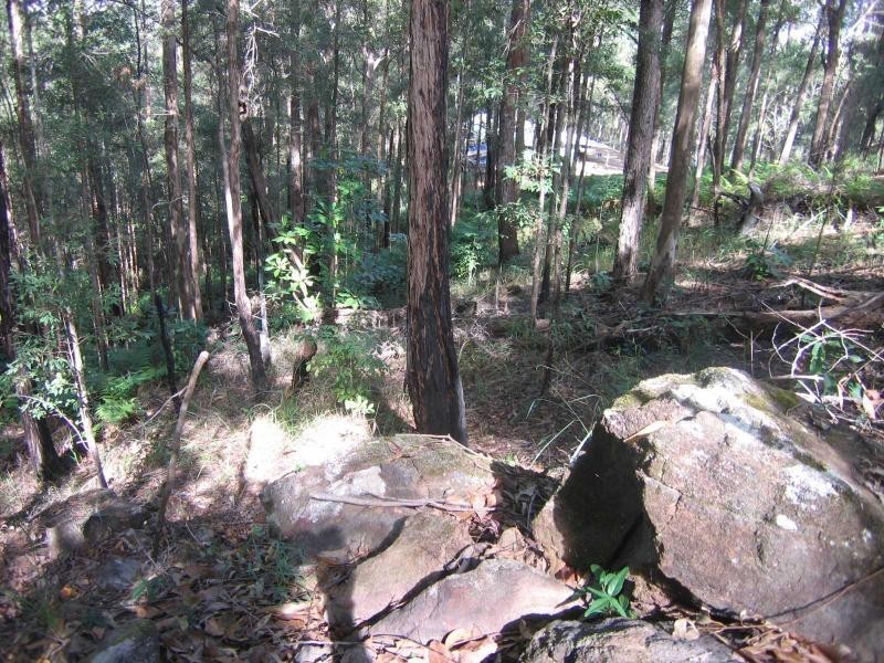 Eudlo QLD 4554