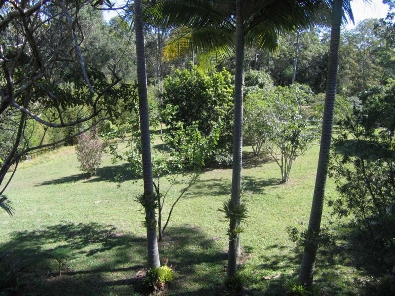 Mooloolah Valley QLD 4553