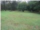 Mooloolah Valley QLD 4553