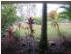 Mooloolah Valley QLD 4553