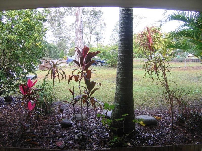 Mooloolah Valley QLD 4553