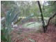 Mooloolah Valley QLD 4553