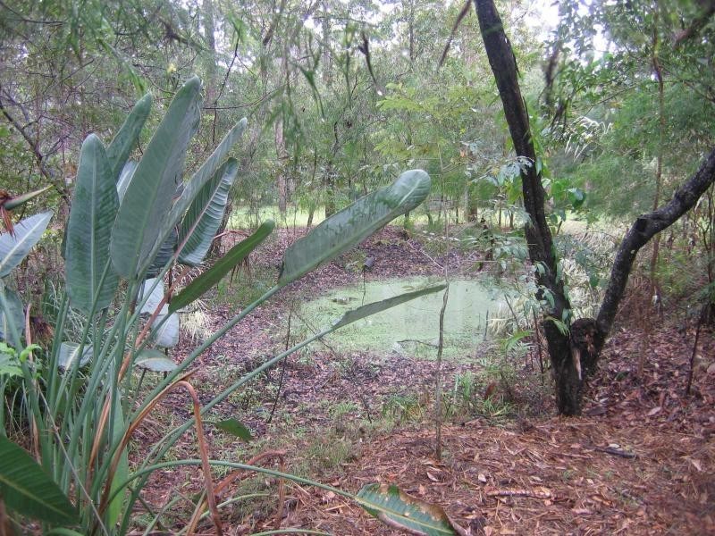 Mooloolah Valley QLD 4553