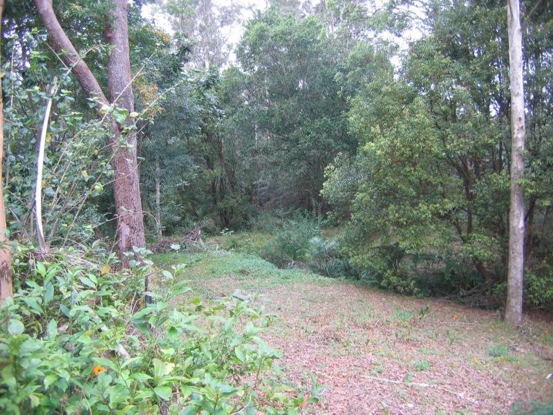 Mooloolah Valley QLD 4553