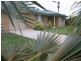 Mooloolah Valley QLD 4553