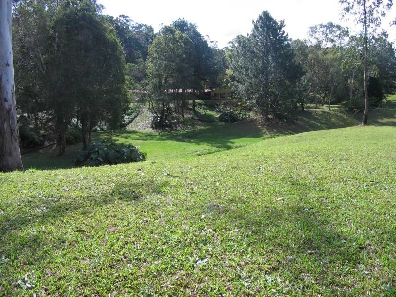 Mooloolah Valley QLD 4553