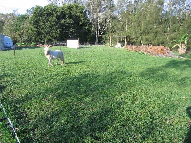 Mooloolah Valley QLD 4553