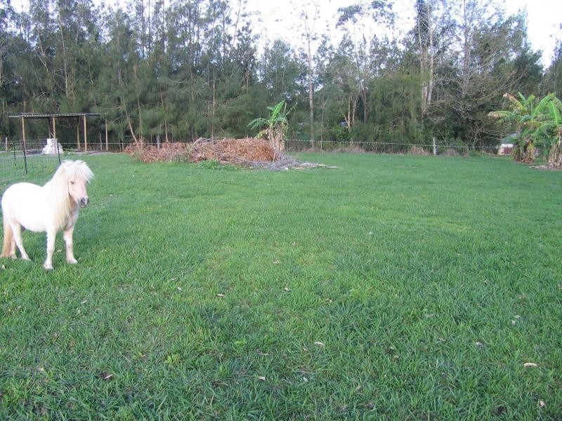 Mooloolah Valley QLD 4553