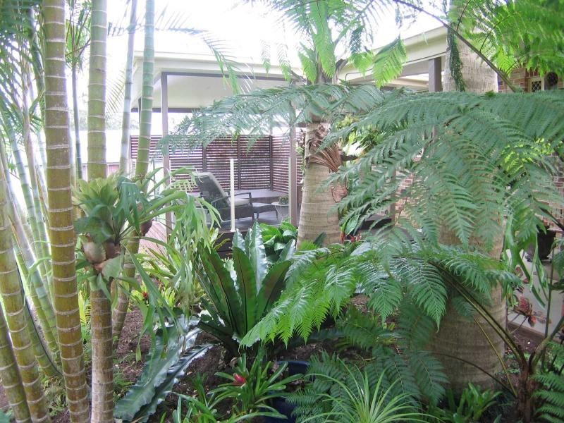 Mooloolah Valley QLD 4553