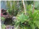 Mooloolah Valley QLD 4553