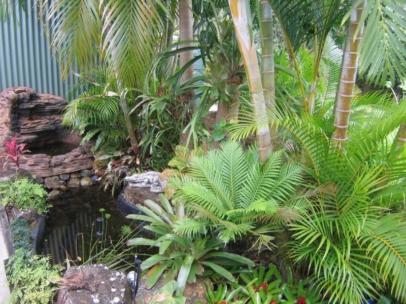 Mooloolah Valley QLD 4553